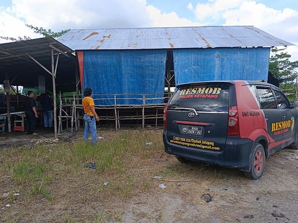 Judi ayam Judi ayam