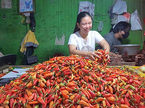 pedagang cabai