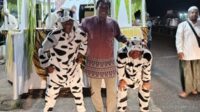 5 kambing
