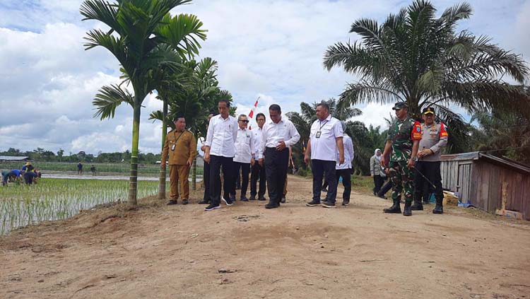 jokowi