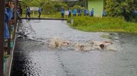 SMKN 4 Pangkalan Bun