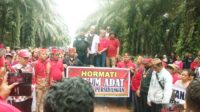 adat
