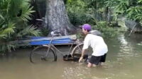 banjir