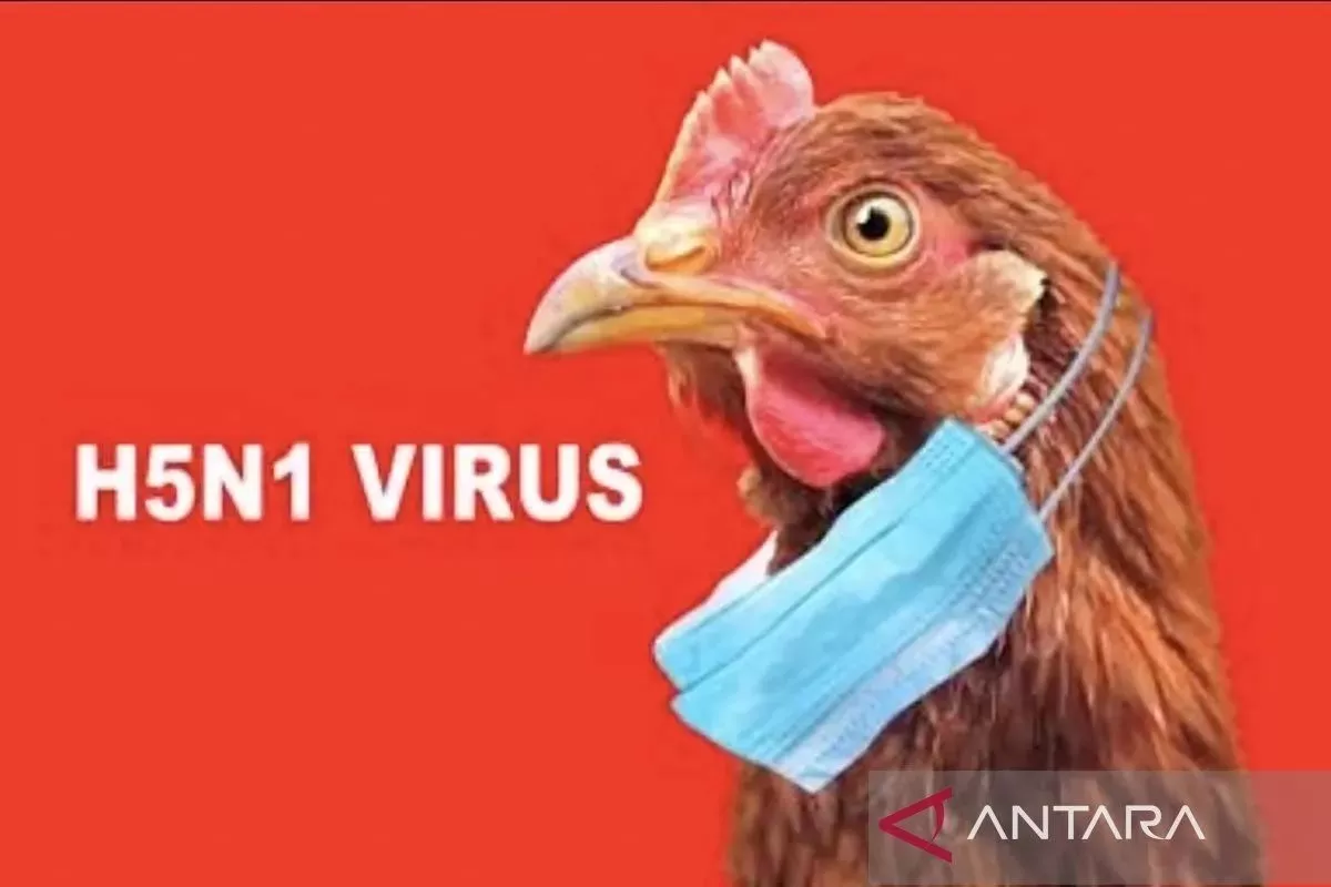 flu burung