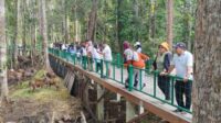 hutan