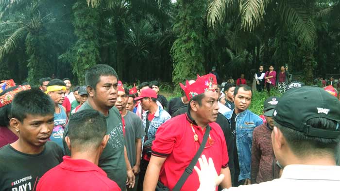 kebun