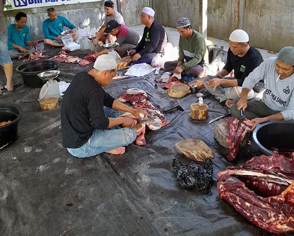 KONTRAK RSUD kontrak rsud