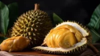 buah durian