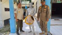Manusia Silver