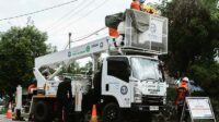 pln 1