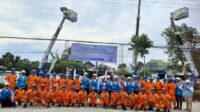 pln 2