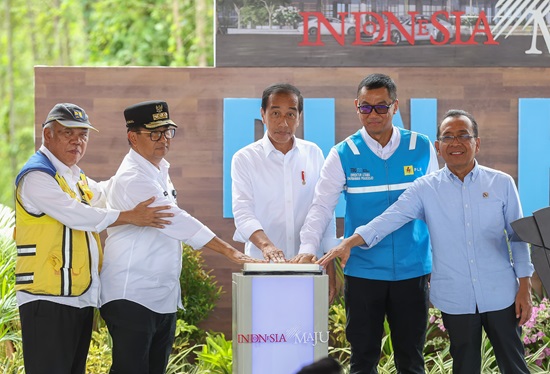 pln ppu