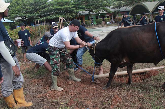 proses pemotongan hewan qurban oleh panitia