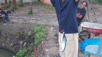 mancing
