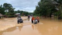banjir jalan kalteng - kalbar