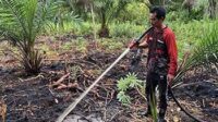 bakar