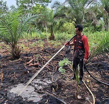bakar