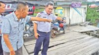 dermaga