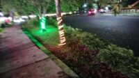Jambret Kapuas