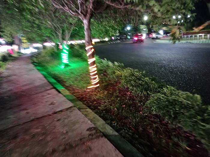 Jambret Kapuas