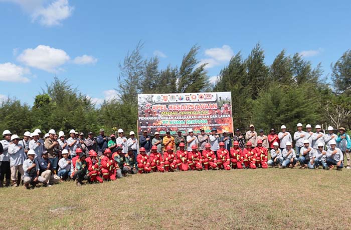 kumai sentosa 2