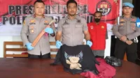 persetubuhan