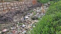 sampah