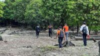 Bocah Hilang Lamandau