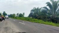 Bahu Jalan