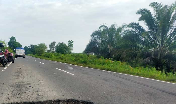 Bahu Jalan
