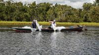 petugas dari balai perikanan budi daya air tawar mandiangin kalimantan selatan menebar benih ikan di danau burung, palangka raya, kalimantan tengah, selasa (16/7/2024).