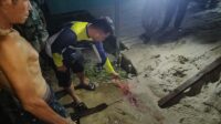 Penganiayaan Katingan