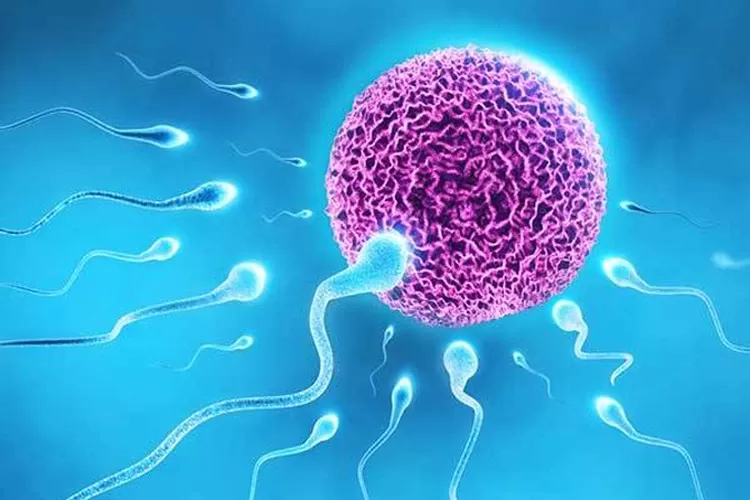 mau sperma sehat cukup lakukan cara sederhana ini m 163588
