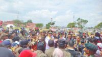 farel prayoga