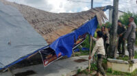 Lapak PKL Sukamara