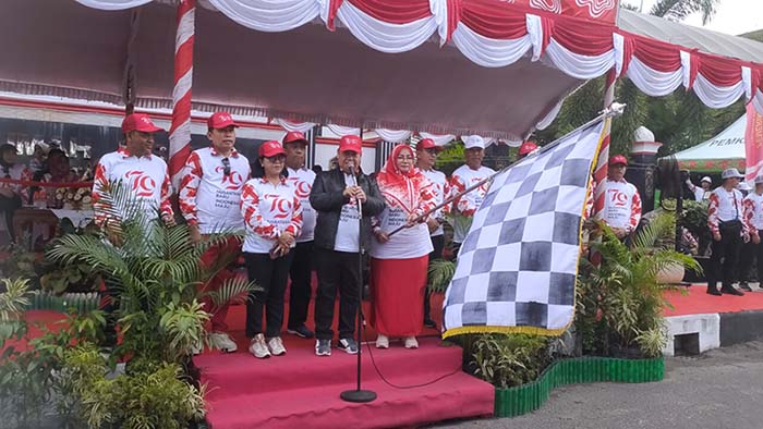 Pawai pembangunan