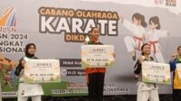 disdik palangka