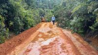 jalan utara