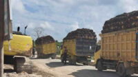 Truk kelebihan muatan