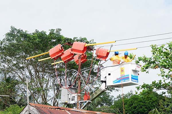 pln 3