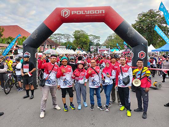 Gowes