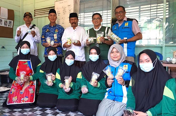 PLN UID KALSELTENG pln uid kalselteng