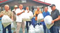 duta borneo pratama