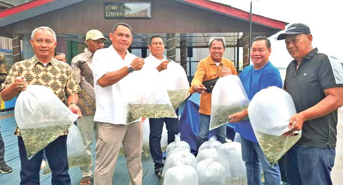 duta borneo pratama