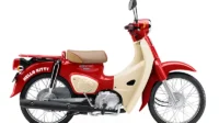 Honda Super Cub
