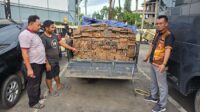 kayu