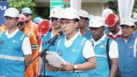 pln kalselteng