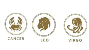 cancer leo dan virgo