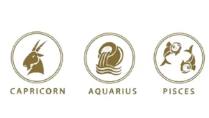 capricorn aquarius dan pisces