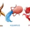ramalan zodiak capricorn, aquarius dan pisces